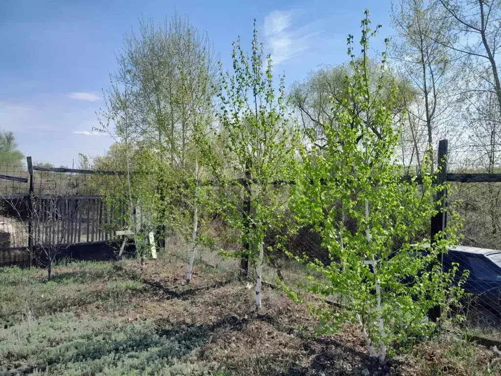 Дом в Оренбургская область, Оренбургский район, Нежинский сельсовет, ... - Фото 1