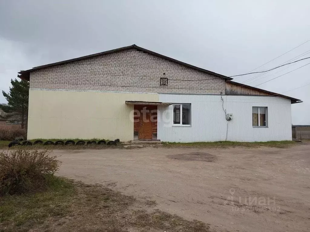 Торговая площадь в Архангельская область, с. Красноборск ул. Двинская, ... - Фото 1