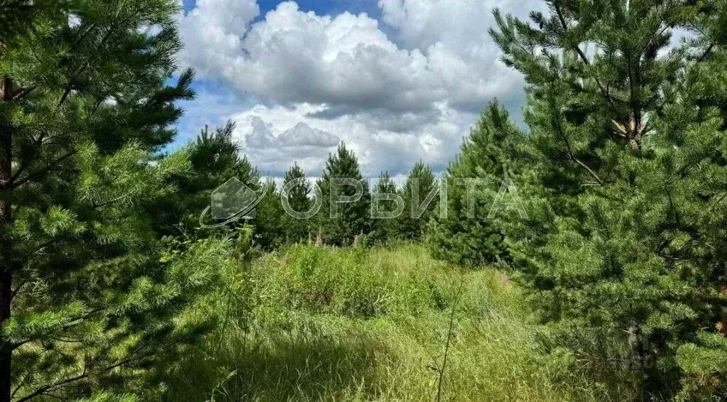 Участок в Свердловская область, Слободо-Туринский район, ... - Фото 0