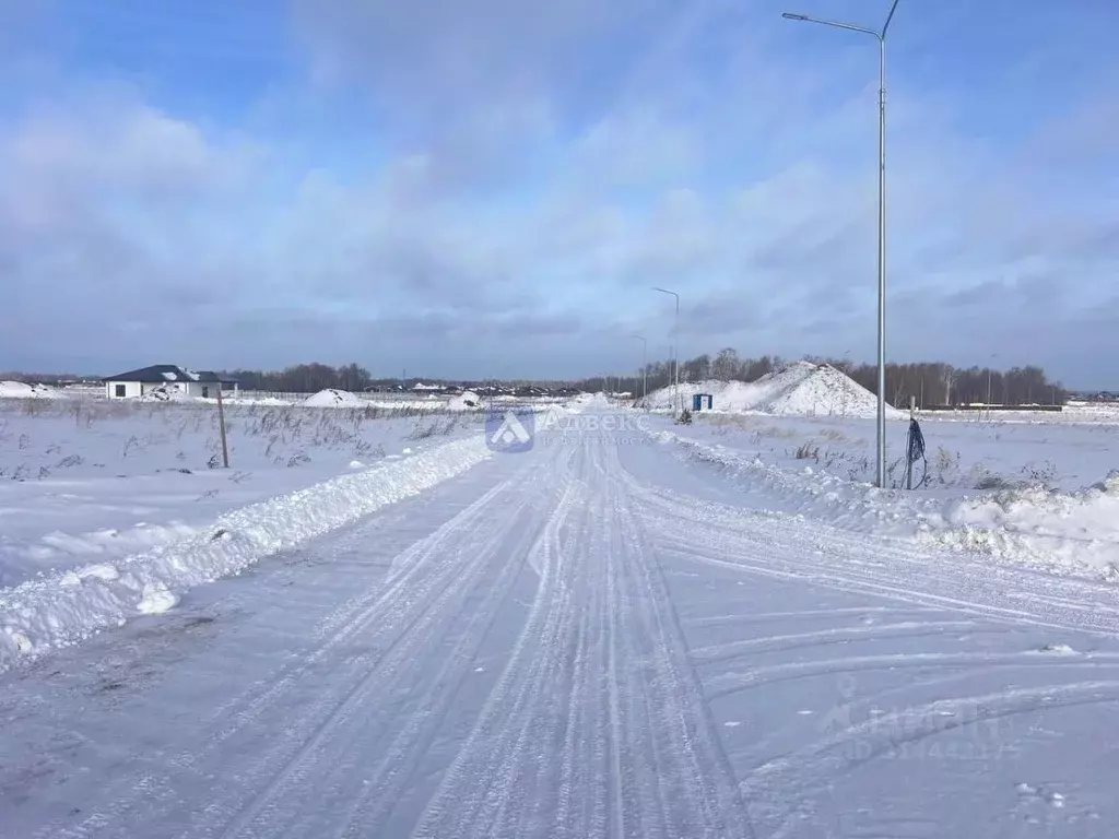 Участок в Тюменская область, Тюменский район, д. Насекина  (834.0 ... - Фото 1