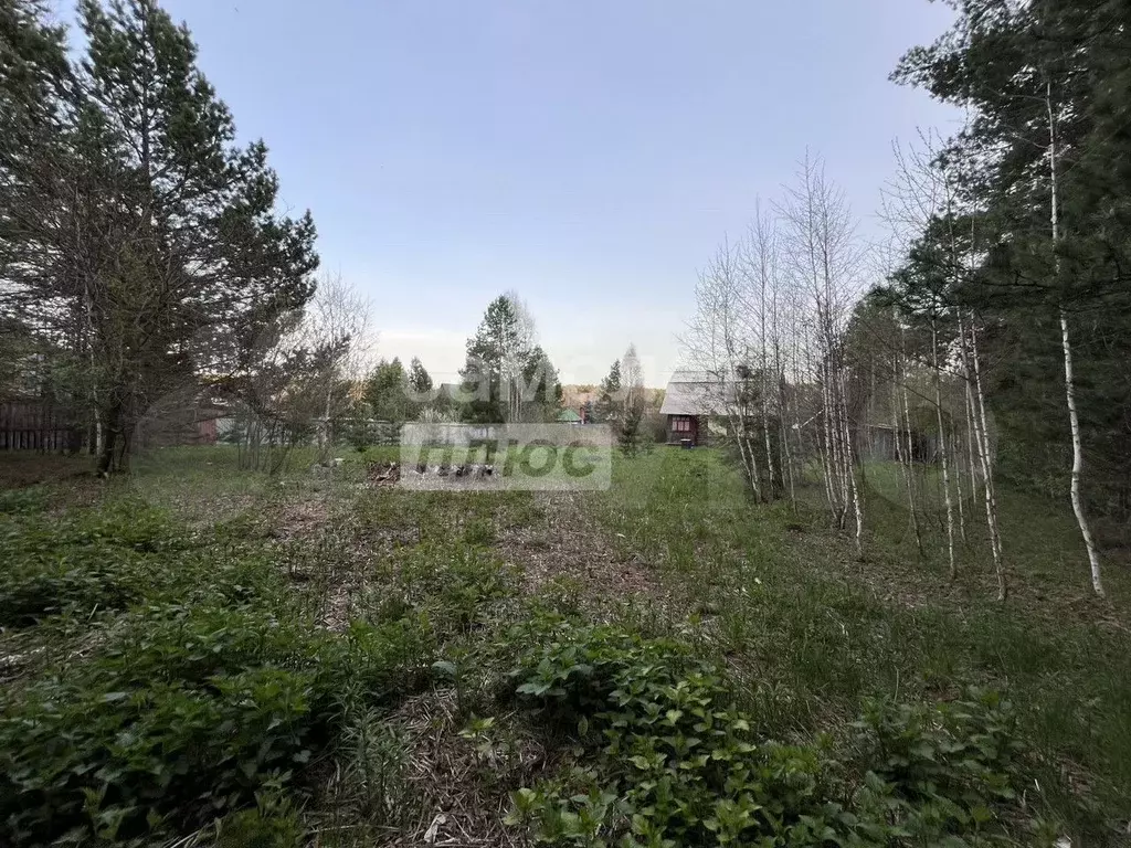 Участок 10,6 сот. (СНТ, ДНП) - Фото 0