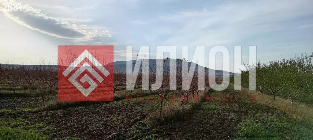 Участок в Крым, Кировский район, Первомайское с/пос, с. Изюмовка ул. ... - Фото 2