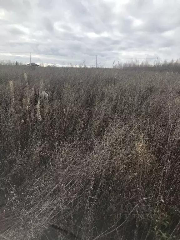 Участок в Московская область, Зарайск Зарайск муниципальный округ, ул. ... - Фото 1