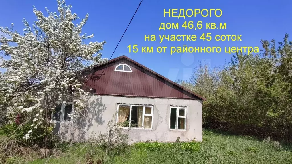 Дом 46,6 м на участке 45 сот. - Фото 1
