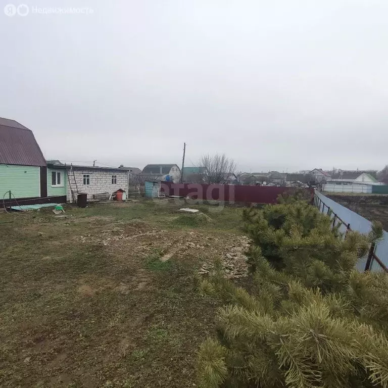 Участок в село Новая Усмань, улица Кирова, 1 (5 м) - Фото 2