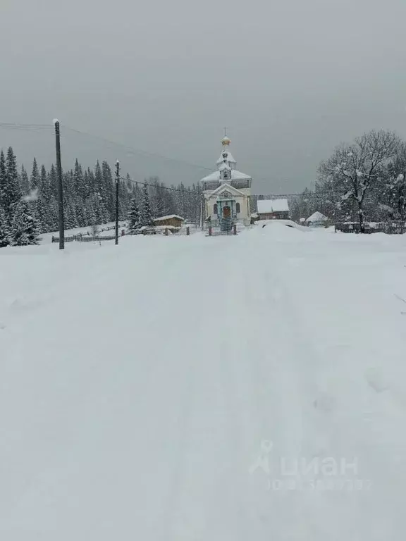 Дом в Алтай, с. Чоя ул. Пушкина (37 м) - Фото 1