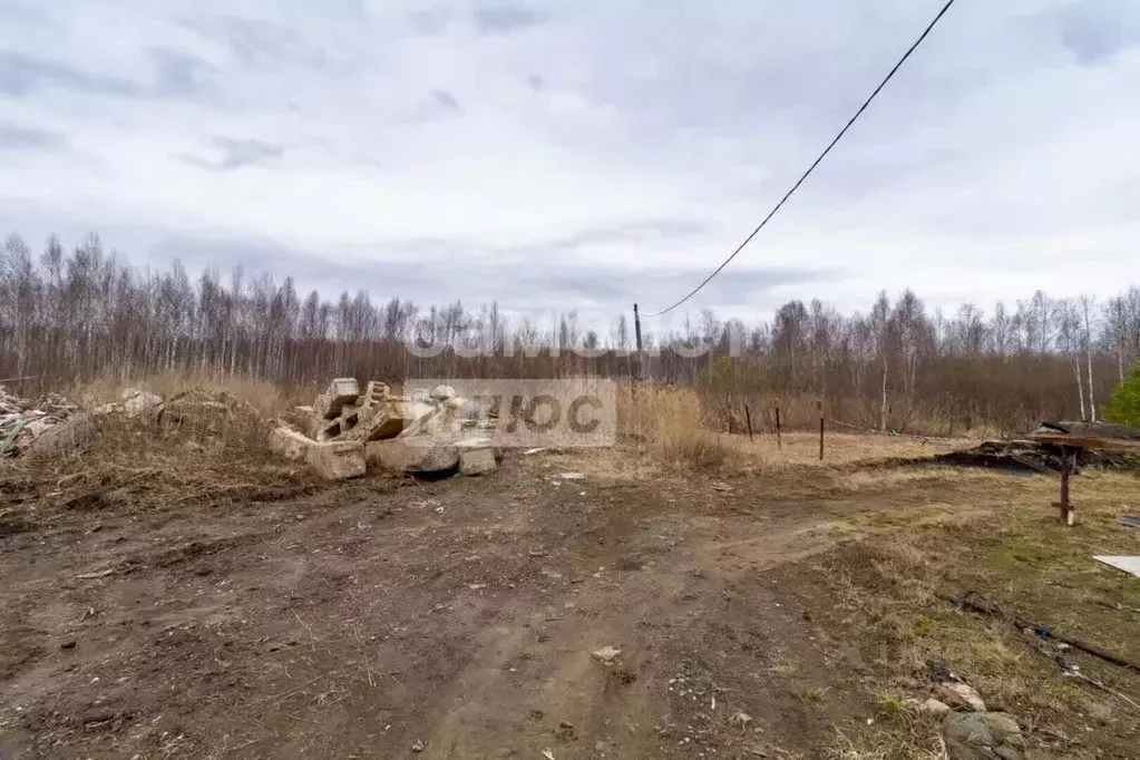 Участок в Тюменская область, Нижнетавдинский муниципальный округ, ... - Фото 1