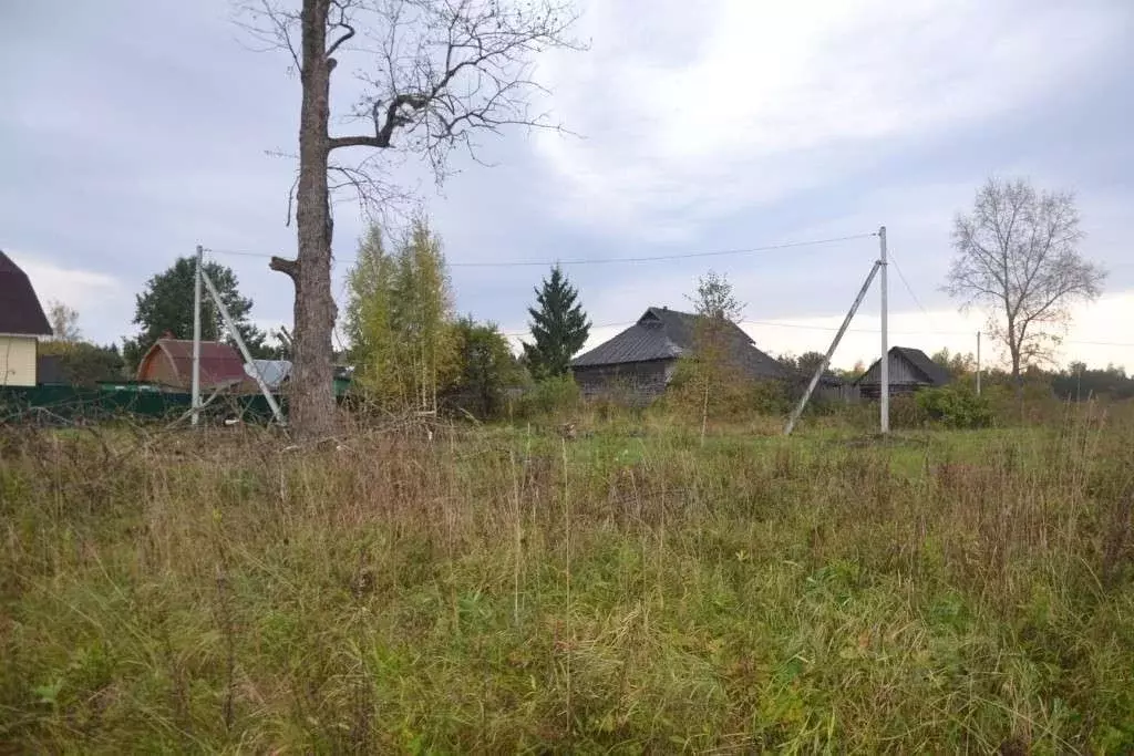 Участок в Тверская область, Осташковский городской округ, д. Залесье  ... - Фото 1