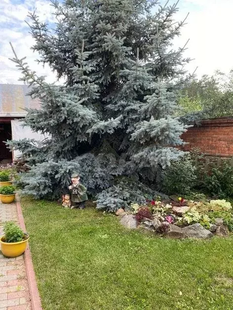 Дом в Тюменский муниципальный округ, деревня Ушакова (169 м) - Фото 1