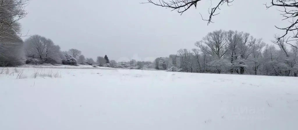Участок в Тульская область, Алексин городской округ, пос. Мичурина  ... - Фото 1