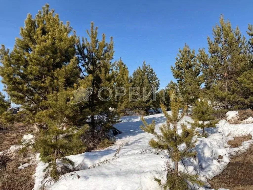 Участок в Тюменская область, Тюменский муниципальный округ, д. Ушакова ... - Фото 1