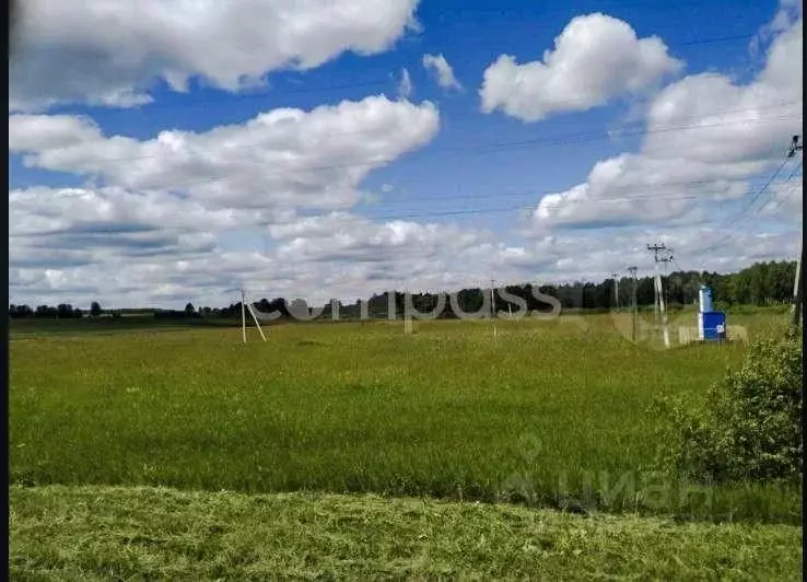 Участок в Тюменская область, Тюменский район, с. Червишево ... - Фото 0