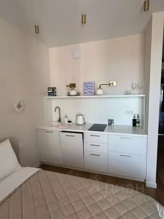 Студия Краснодарский край, Новороссийск ул. Куникова, 47Г (24.0 м) - Фото 1