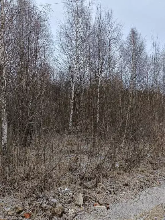 Участок в Московская область, Павлово-Посадский городской округ, д. ... - Фото 0