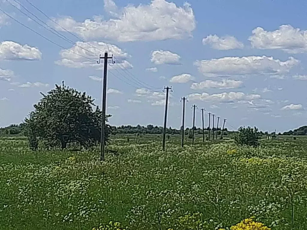 Участок в Новгородская область, Старорусский район, Наговское с/пос, ... - Фото 0