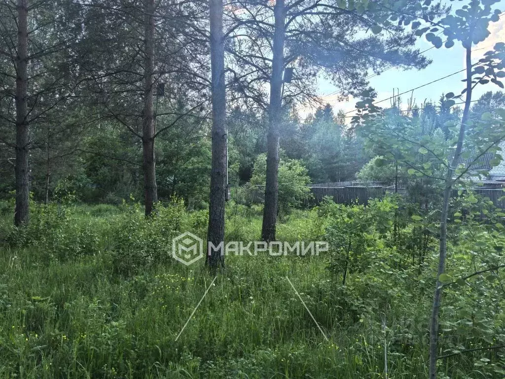 Участок в Брянская область, Октябрьское со  (9.33 сот.) - Фото 2