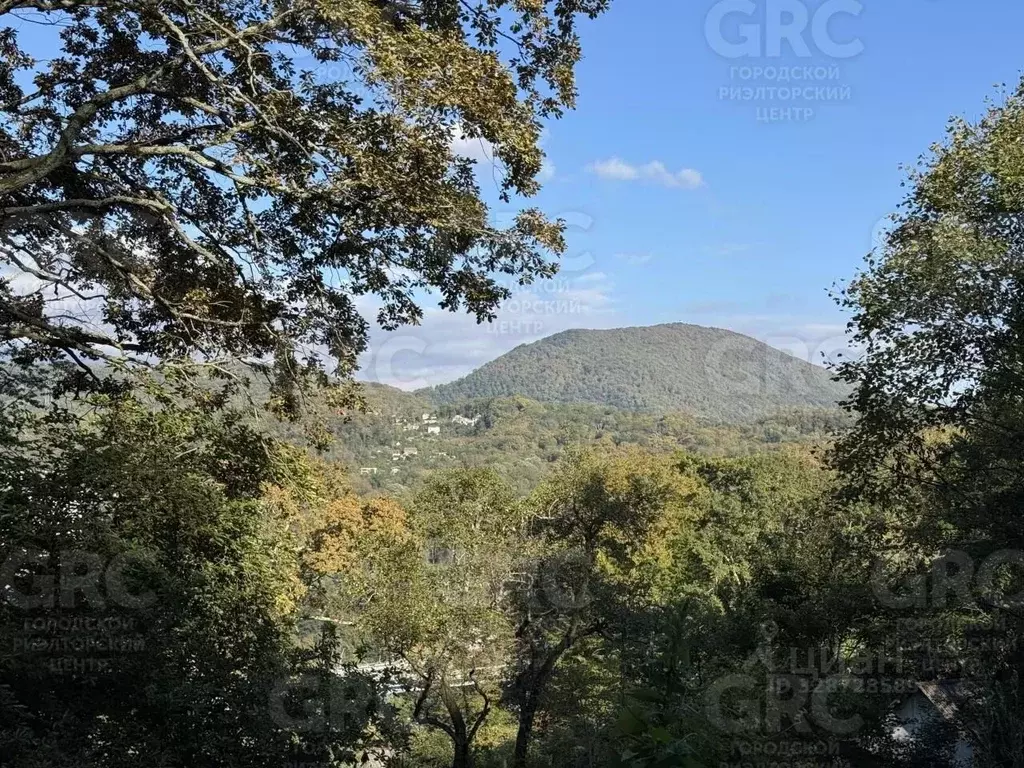 Участок в Краснодарский край, Сочи Приморье мкр, ул. Есауленко, 12/2 ... - Фото 1