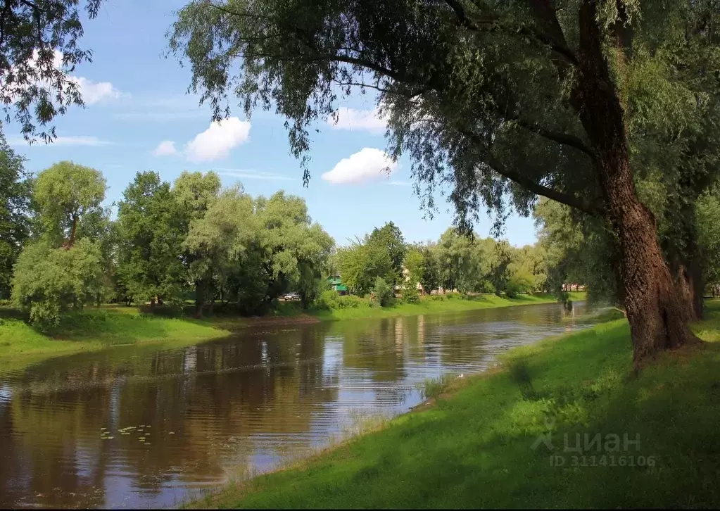 Участок в Новгородская область, Старая Русса Кожевенный пер., 7/1 (7.2 ... - Фото 1