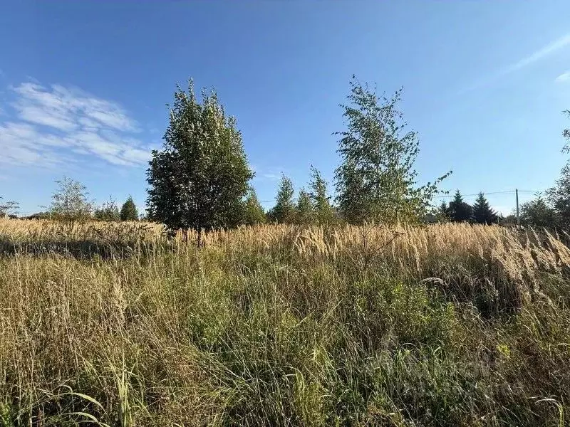 Участок в Московская область, Подольск городской округ, д. Бережки  ... - Фото 1