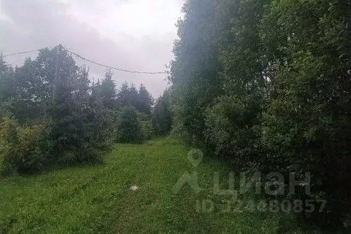 Участок в Новгородская область, Новгородский район, Савинское с/пос, ... - Фото 2