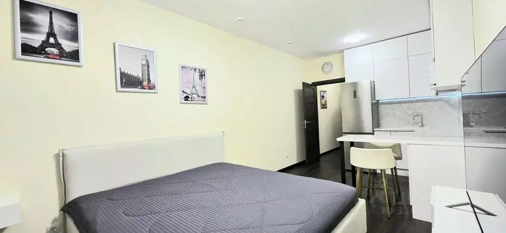 Студия Санкт-Петербург ул. Тосина, 6 (24.4 м) - Фото 1