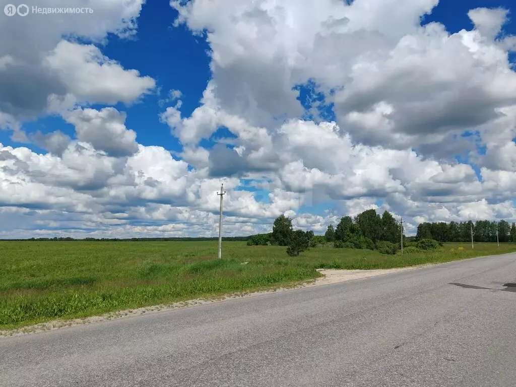 Участок в село Ельники, Заречная улица (460 м) - Фото 2