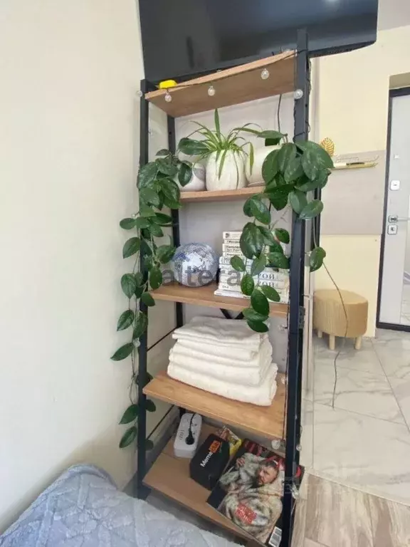 Студия Татарстан, Казань ул. Шуртыгина, 34 (13.0 м) - Фото 2