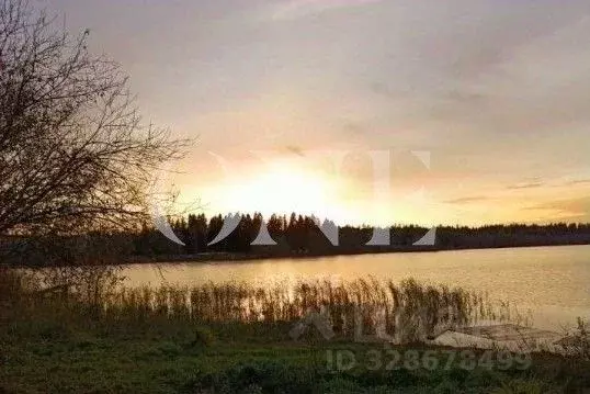 Участок в Московская область, Дмитровский муниципальный округ, д. ... - Фото 2