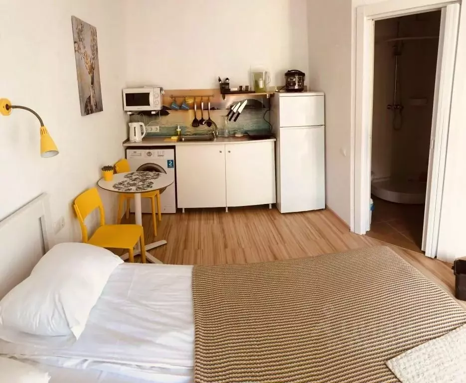 1-к кв. Крым, Евпатория ул. Маяковского, 17Бк1 (20.0 м) - Фото 1