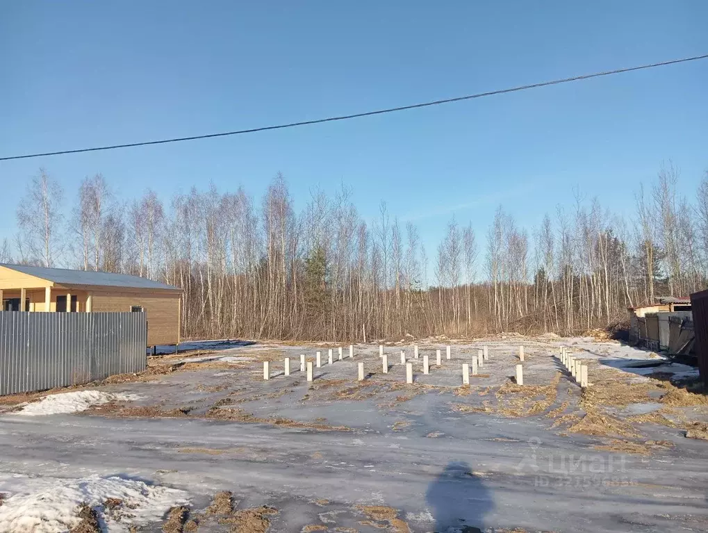 Участок в Московская область, Богородский городской округ, Олимп СНТ  ... - Фото 0