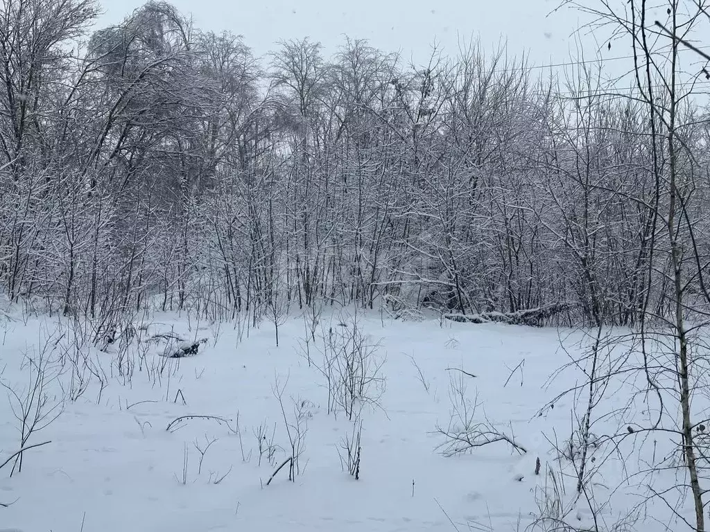 Участок в Тульская область, Донской Новоугольный мкр, ул. Белякова ... - Фото 1
