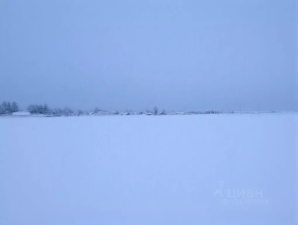 Участок в Амурская область, Белогорск городской округ, с. Низинное ул. ... - Фото 1