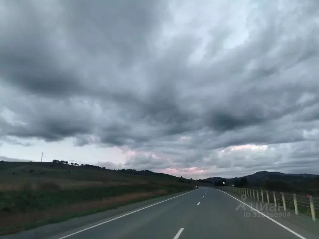Участок в Алтайский край, Алтайский район, с. Верх-Ая  (6000.0 сот.) - Фото 2
