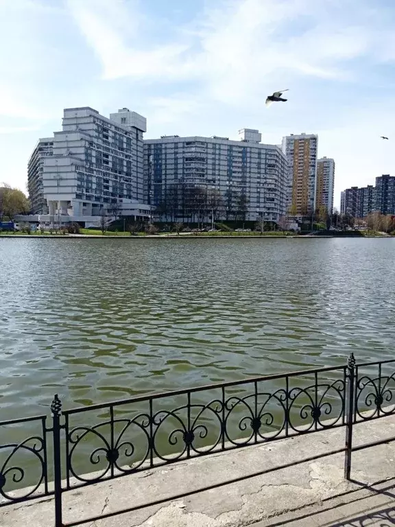 1-к кв. Москва Северное Чертаново мкр, 6к602 (45.0 м) - Фото 1