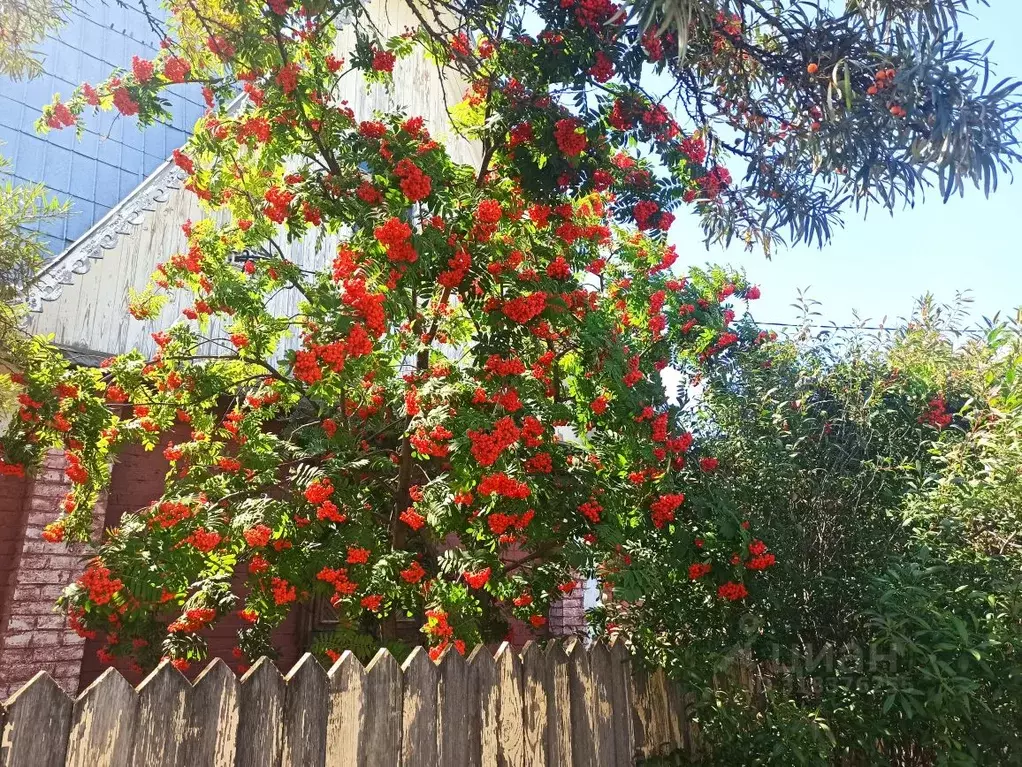 Дом в Омская область, Омский район, с. Розовка, Дорожник СНТ  (80 м) - Фото 2