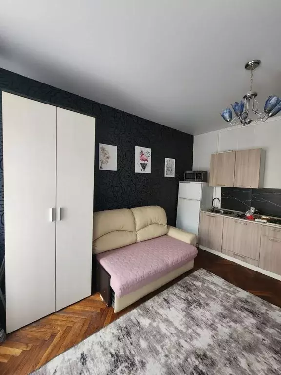 Студия Санкт-Петербург наб. Реки Мойки, 84 (20.2 м) - Фото 1