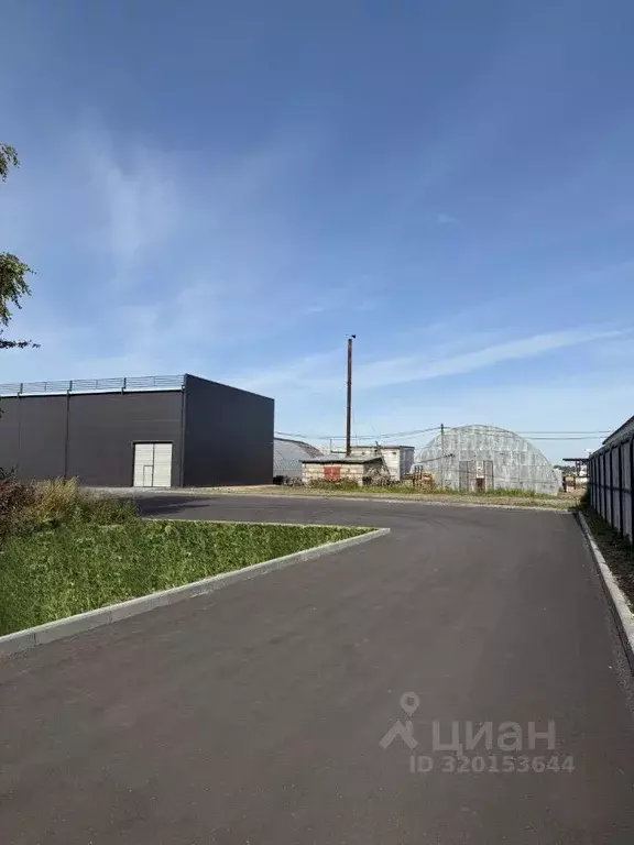 Помещение свободного назначения в Тверская область, Тверь Оснабрюкская ... - Фото 2