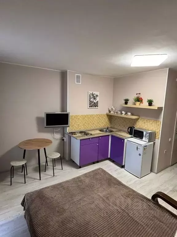 1-к кв. Татарстан, Казань просп. Победы, 90 (27.0 м) - Фото 1