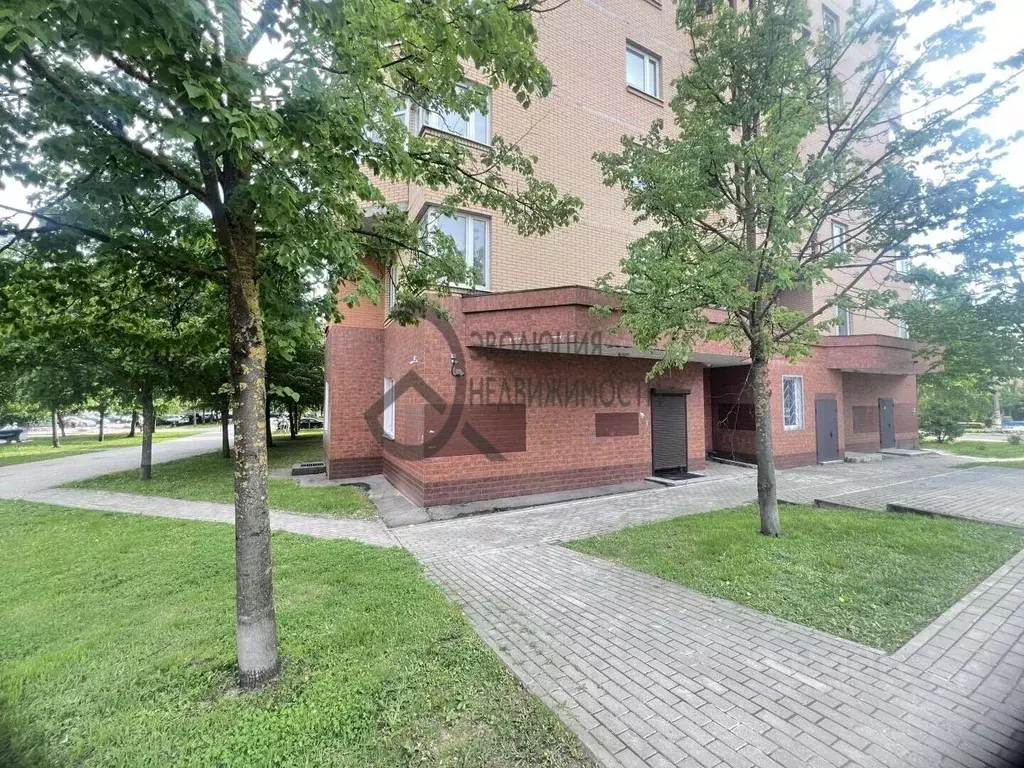 Помещение свободного назначения в Московская область, Истра ул. ... - Фото 2