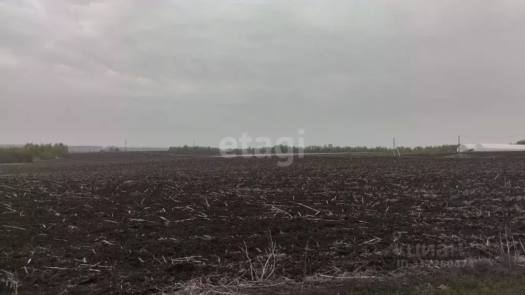 Участок в Белгородская область, Белгородский район, Дубовское с/пос, ... - Фото 0