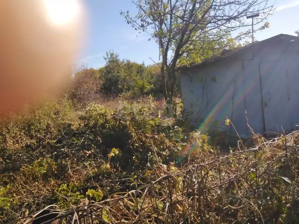 Дом в Самарская область, Тольятти Тимофеевское-1 СНТ, ул. 2-я, 75 (10 ... - Фото 2