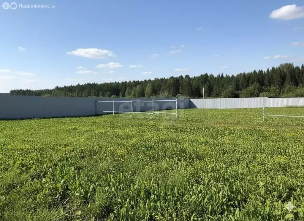 Участок в Кстининское сельское поселение, посёлок Кстининского дома ... - Фото 1