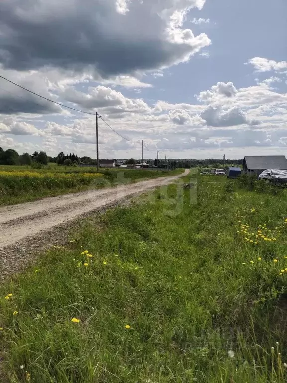 Участок в Вологодская область, д. Дюково  (15.0 сот.) - Фото 2