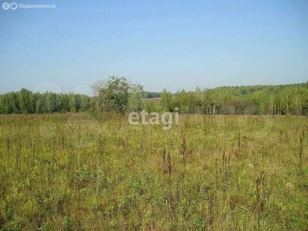 Участок в село Бабынино, село Бабынино (30 м) - Фото 0