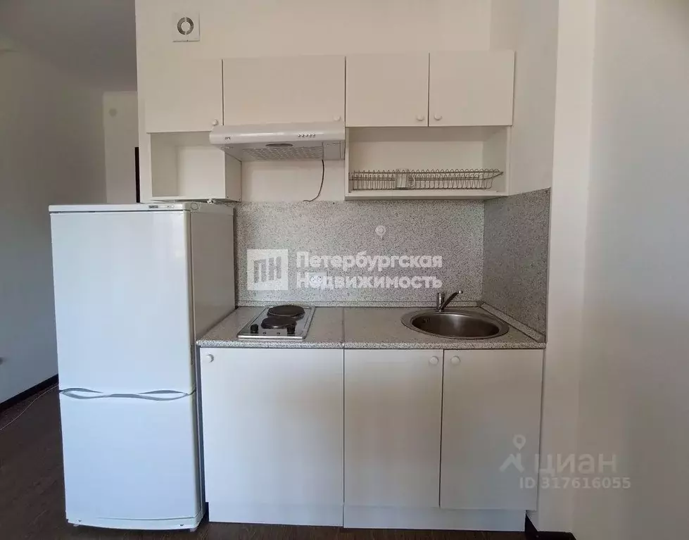 Студия Санкт-Петербург просп. Ветеранов, 169к1 (24.3 м) - Фото 0