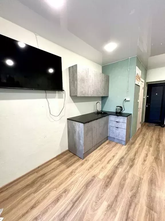 1-к кв. Татарстан, Казань ул. Восстания, 25 (18.0 м) - Фото 2