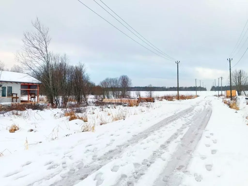 Участок в Ленинградская область, Выборгский район, Красносельское ... - Фото 0
