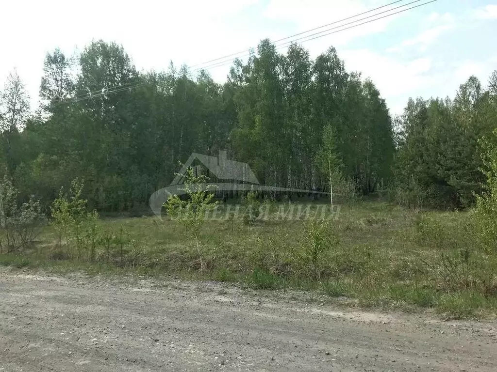 Участок в Тюмень, территория СОСН Русское Поле, Тенистая улица (10 м) - Фото 1