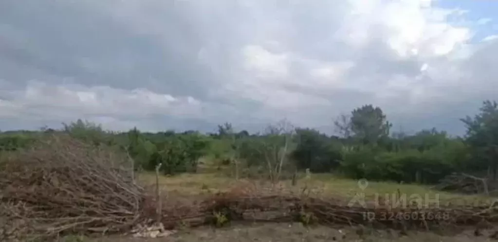 Участок в Ставропольский край, Ставрополь ул. Абрикосовая (4.5 сот.) - Фото 1