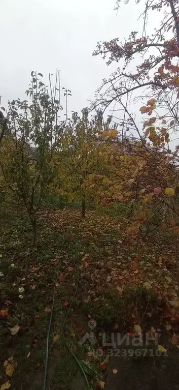 Дом в Краснодарский край, Краснодар ул. Рылеева, 63 (52 м) - Фото 2